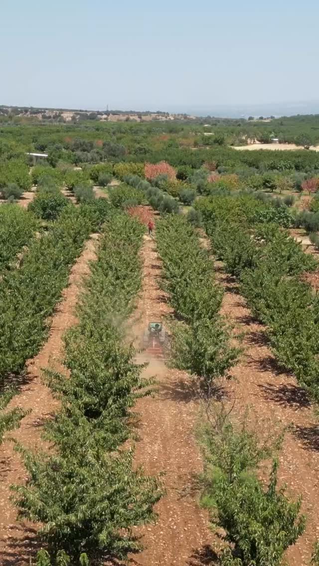 Instagram post from ferraritraktor. This post is in position 4.